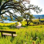 sağlıklı yaşam nedir